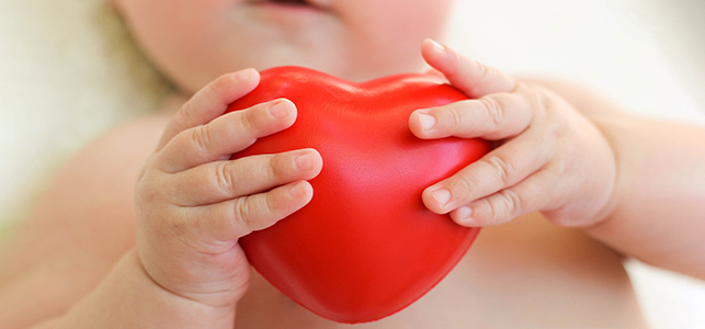 Closeup of baby's hands holding heart toy
