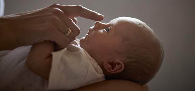 Close up of parent's finger touching newborn baby's nose