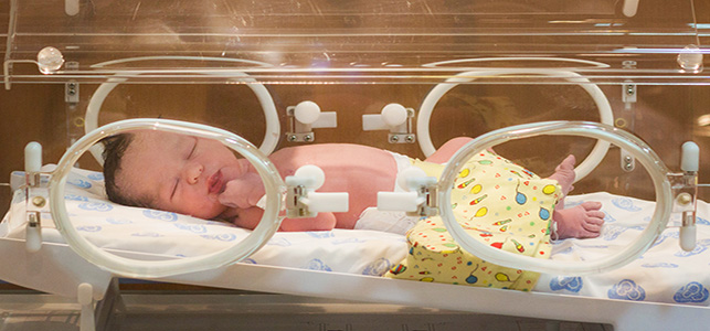 Baby in a NICU isolette