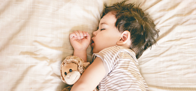 Toddler boy sleeping with stuffed animal