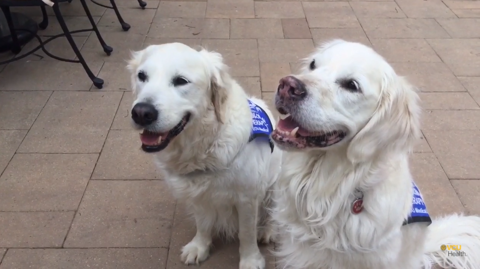 Wrigley and Oakley Say Thank You to VCU Health